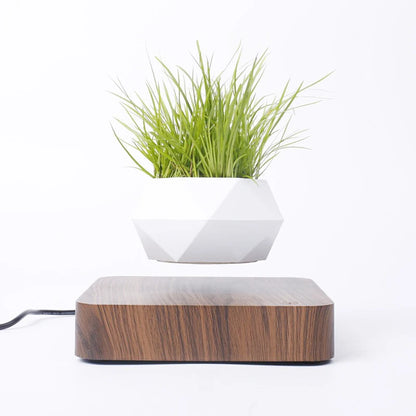 Enchanted Levitating Planter - Magnetic Suspension Flower Pot