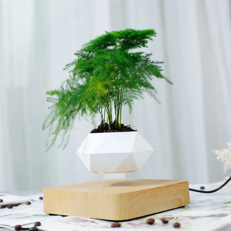 Enchanted Levitating Planter - Magnetic Suspension Flower Pot