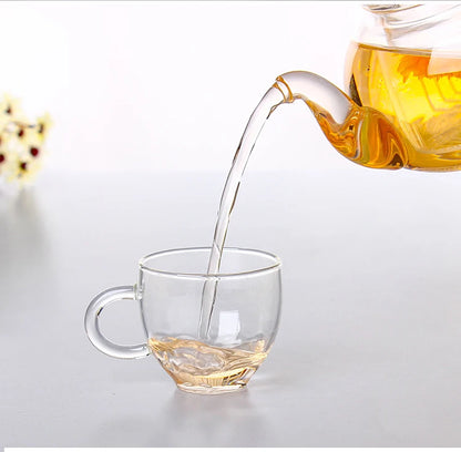 Aurora Glass Kettle with Infuser